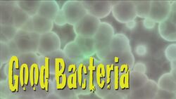 Yogurt: A healthy food Instructional Video