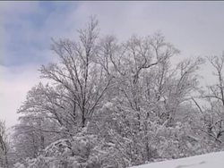 Observing Weather: Observing Air Pressure Instructional Video