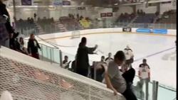 Junior hockey coach caught swinging stick at fan News Clip