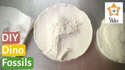 How to Make Dinosaur Fossils Instructional Video