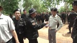 VOICED : Mueren decenas de tigres confiscados en un templo de Tailandia News Clip