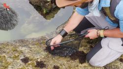 WILL IT INK?! - Catching an Octopus Instructional Video