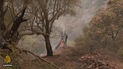 Algeria wildfire death toll rises as 25 soldiers killed News Clip