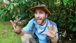 Snapping Turtle BITES Me.. AGAIN! Instructional Video