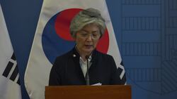 Hungarian FM: visibility under water is 'practically zero' Instructional Video