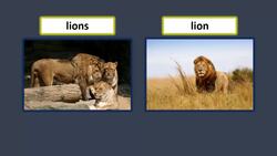 Exploring Singular Nouns Instructional Video