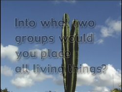 Introduction to the Six Kingdoms of Living Organisms Instructional Video