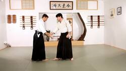 How to Do Irimi Nage in Aikido Instructional Video