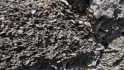 The history of Castillo San Marcos Instructional Video