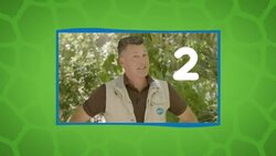 These Incredible Lizards Are Taking The Zoo By Storm Instructional Video