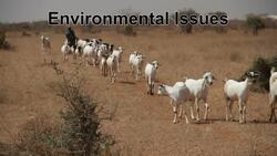 Droughts and Water Scarcity Instructional Video