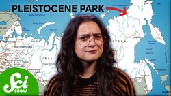 Grass Could Save The Arctic Instructional Video