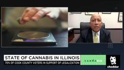 Is Cannabis the Best Weapon in the Opioid Epidemic? News Clip
