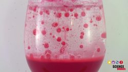 Make an Alka-Seltzer Powered Lava Lamp Instructional Video