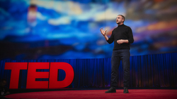TED: What is an AI anyway? | Mustafa Suleyman Instructional Video