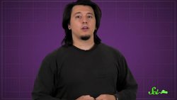 When Algae Learned to Hunt Instructional Video