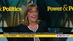 'We were bleeding out' before federal measures: Steel association | Power & Politics News Clip