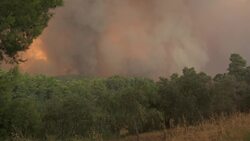 180 firefighters tackle huge fire north of Athens Instructional Video