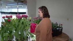 This Sask. woman grows tulips year-round in her basement News Clip