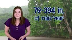 The Vital Role of Tropical Rainforests Instructional Video