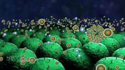 COVID-19 may trigger potentially deadly immune response News Clip