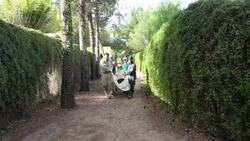 The Story of an Andean Bear Who Overcame Cancer Instructional Video