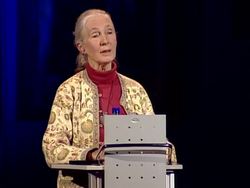 TED: How humans and animals can live together | Jane Goodall Instructional Video