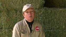 Come on the Journey With Zookeepers Who Work With Rhinos at the San Diego Zoo Instructional Video