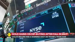 Gold's record rise a warning shot on Trump's trade war News Clip