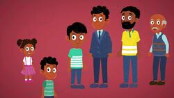 High Five Facts - Life Cycles Instructional Video