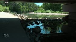 Flood season: What officials say Calgarians need to know News Clip