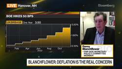 Blanchflower: I Think BOE Has it Completely Wrong News Clip
