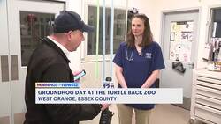 Who will win the Super Bowl? Will it be an early spring? Essex County’s Lady Edwina makes her predictions News Clip