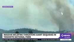 Yosemite Fire Grows As Crews Protect Iconic Sequoias News Clip
