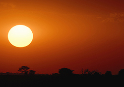 Killer Heat Wave Instructional Video