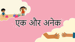 Introduction to Singular and Plural - Hindi Instructional Video