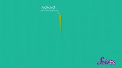 Odd Facts About Sloths Instructional Video