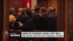 Marijuana bill News Clip