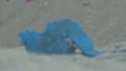 Crab on a beach and plastic waste News Clip