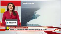 A23a: Giant Iceberg on collision course with Island, threatening penguins and seals News Clip