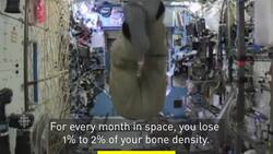 Zero gravity wreaks havoc on human bodies News Clip
