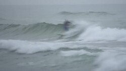 CLEAN : Shark nets: the 'curtains of death' protecting South Africa's beaches News Clip