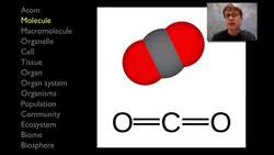 The Hierarchy of Life Instructional Video