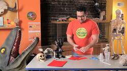 How to Demonstrate Newton's Third Law of Motion using a Paper Car & a Balloon Instructional Video