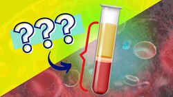 What's in Your Blood Instructional Video