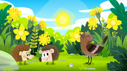 Hedgie Birthday Instructional Video