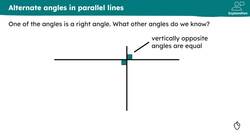 Alternate angles Instructional Video