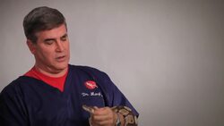 How to Hold & Handle a Snake Instructional Video
