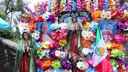 Basilica of Our Lady of Guadalupe Stock Footage