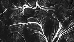 4K Abstract Muscle Tissue. Stock Footage